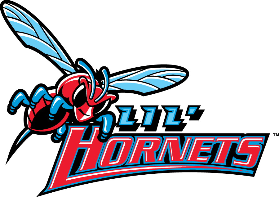 Delaware State Hornets 2004-Pres Misc Logo diy DTF decal sticker